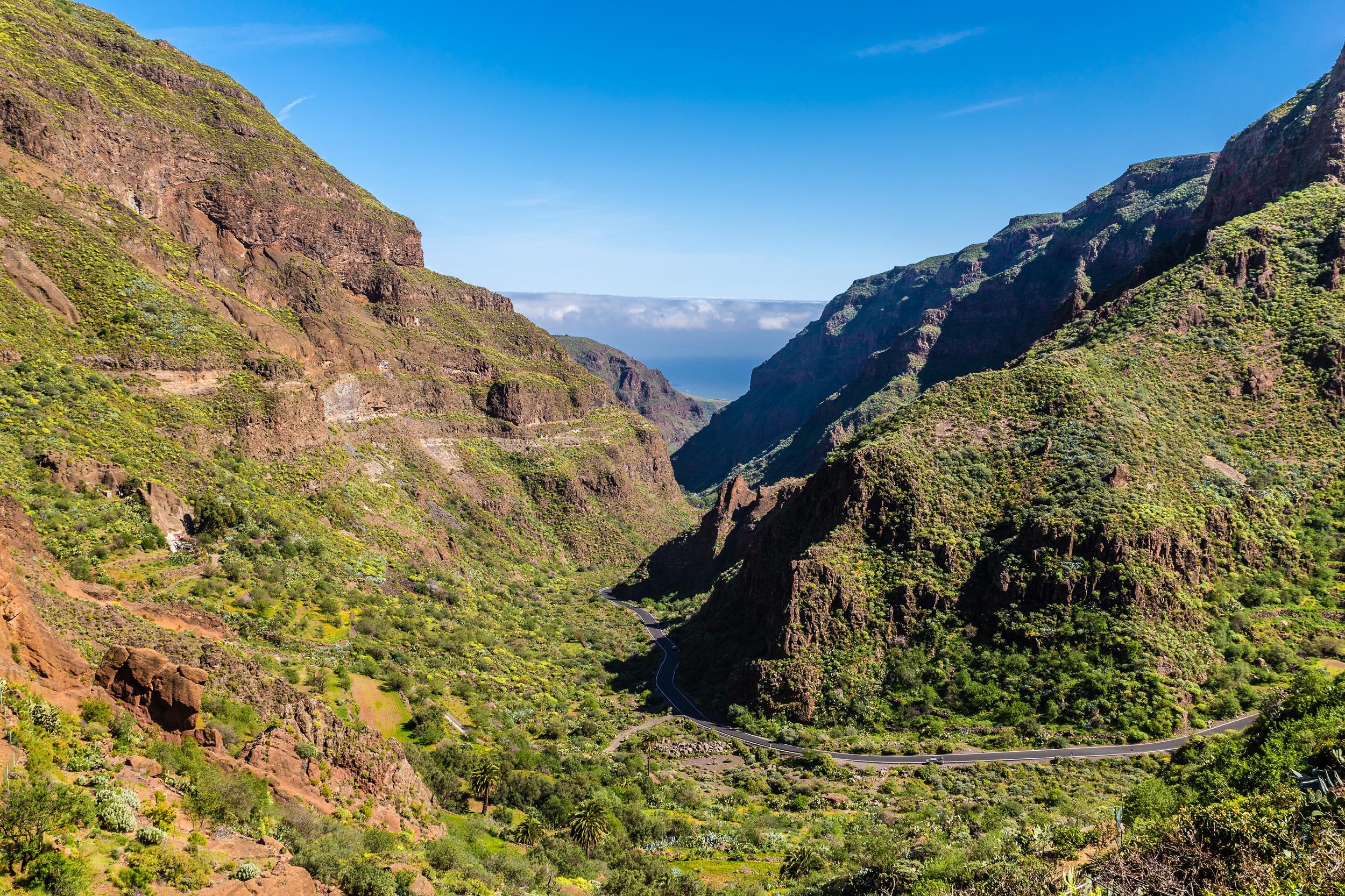Espagne Gran Canaria Barranco de Guayadeque