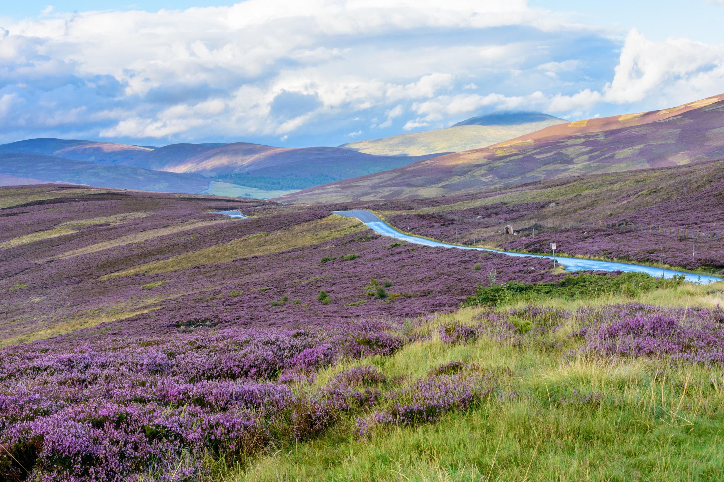 Großbritannien Schottland Cairngorms Nationalpark