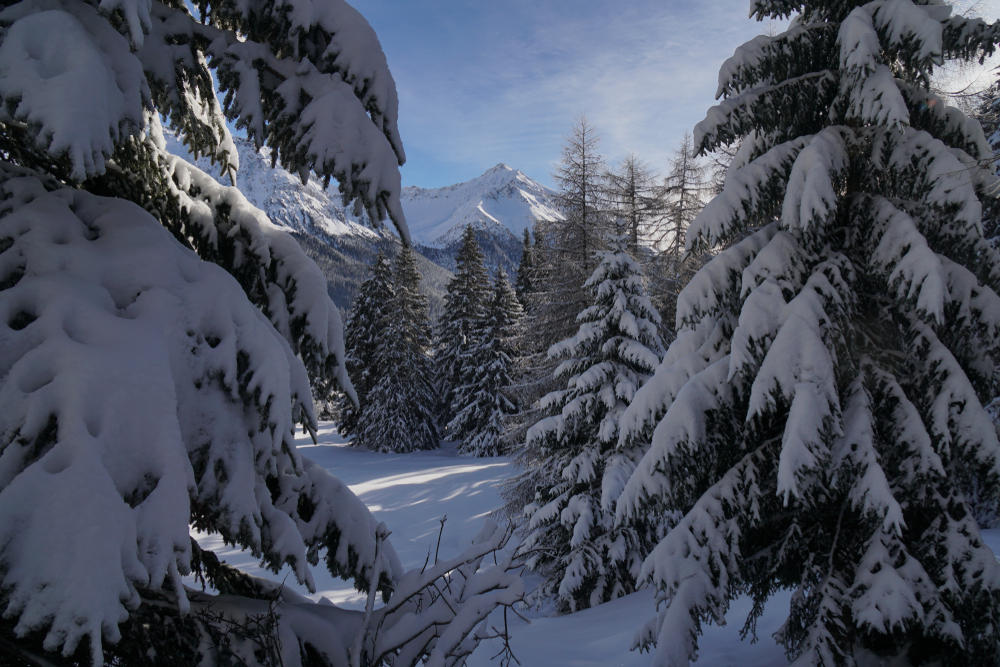 VTT Alpes